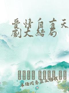 爱情自有天意短剧大结局