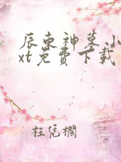 辰东神墓小说txt免费下载