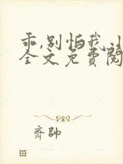 乖,别怕我小说全文免费阅读无弹窗