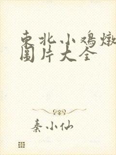 东北小鸡炖蘑菇图片大全
