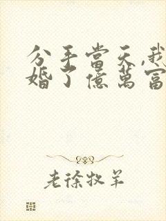 分手当天,我闪婚了亿万富豪全
