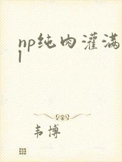 np纯肉灌满bl