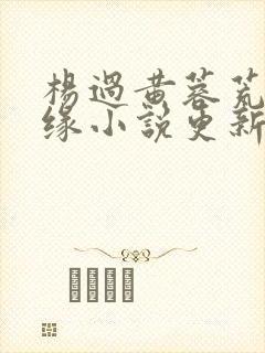 杨过黄蓉荒岛情缘小说更新时间