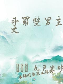 斗罗双男主同人文