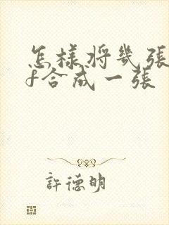 怎样将几张pdf合成一张