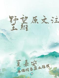 野望原文注音版王维