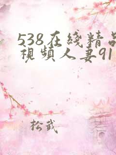 538在线精品视频人妻91