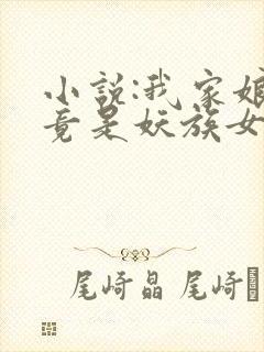 小说:我家娘子竟是妖族女帝