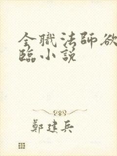 全职法师欲魔降临小说