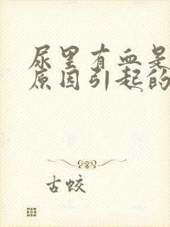 尿里有血是什么原因引起的