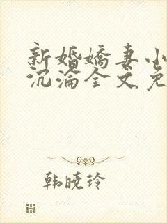 新婚娇妻小诗的沉沦全文免费阅读