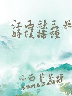 江西秋玉米什么时候播种