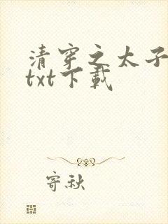 清穿之太子娇妃txt下载