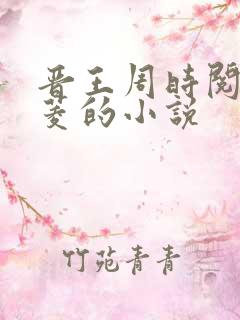 晋王周时阅陆昭菱的小说