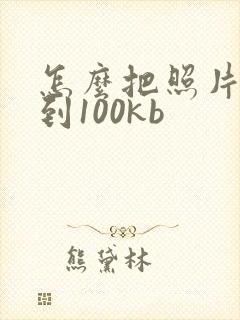 怎么把照片压缩到100kb