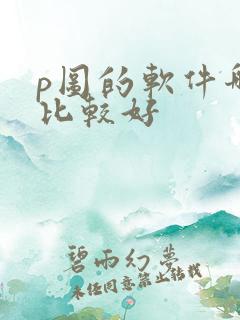 p图的软件哪个比较好