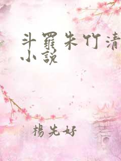 斗罗朱竹清邪宗小说