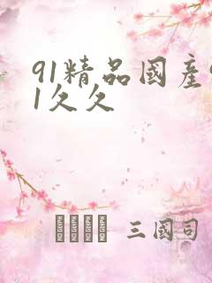 91精品国产91久久