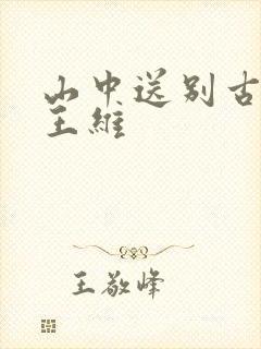山中送别古诗词王维