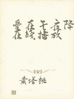 爱在午夜降临前在线播放