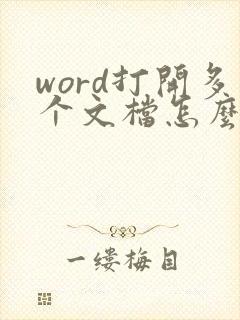 word打开多个文档怎么合并一个窗口