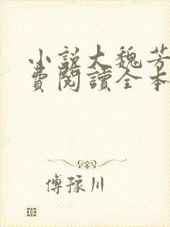 小说大魏芳华免费阅读全本