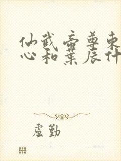 仙武帝尊东凰太心和叶辰什么关系
