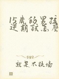 15岁的男孩叛逆期该怎么办