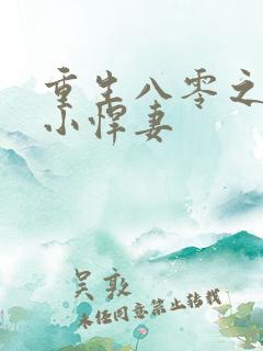 重生八零之家有小悍妻