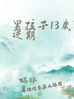 男孩子13岁叛逆期