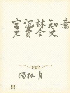 宫沉林知意小说免费全文