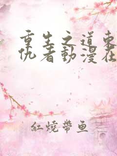 重生之道东京复仇者动漫在线观看免费