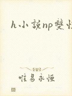 h小说np双性