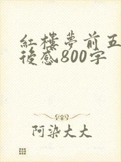 红楼梦前五回读后感800字