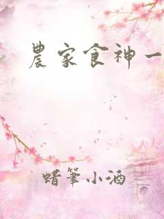 农家食神一品妻