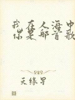 我在人海中遇见你是哪首歌的歌词