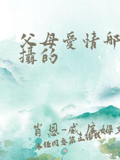 父母爱情哪年拍摄的