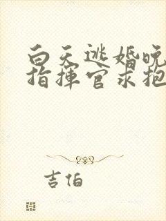 白天逃婚晚上被指挥官求抱抱小说