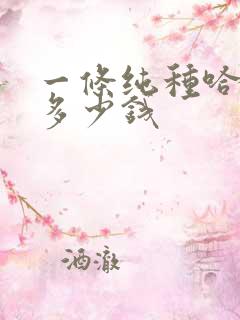 一条纯种哈士奇多少钱