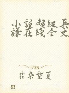 小说超级兵王叶谦在线全文免费阅读