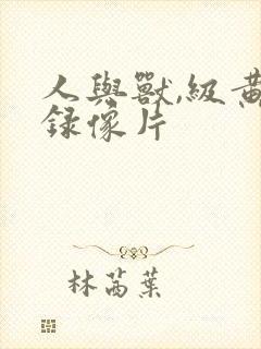 人与兽,级黄色录像片