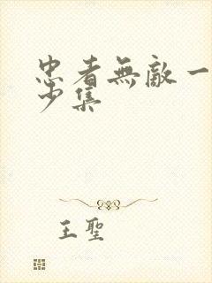 忠者无敌一共多少集