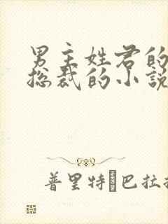 男主姓君的霸道总裁的小说