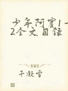 少年阿宾1一72全文目录