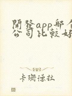 开发app哪个公司比较好
