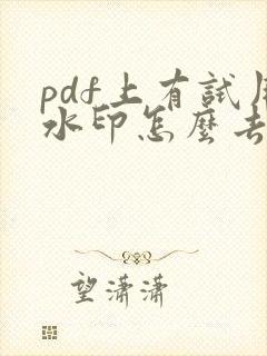 pdf上有试用水印怎么去除