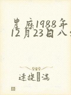 农历1988年12月23日八字算命