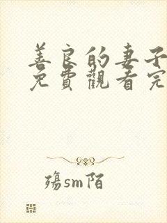 善良的妻子韩剧免费观看完整版中文