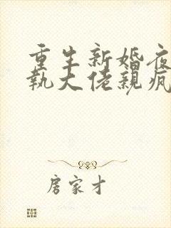 重生新婚夜被偏执大佬亲疯了txt