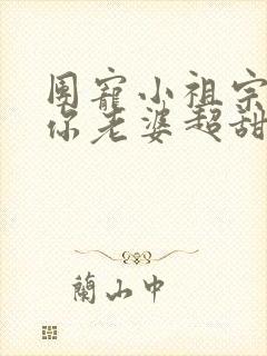 团宠小祖宗大叔你老婆超甜